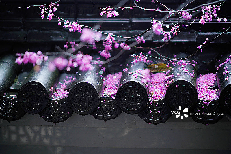 浙江省丽水市仙都的绝美风光图片素材