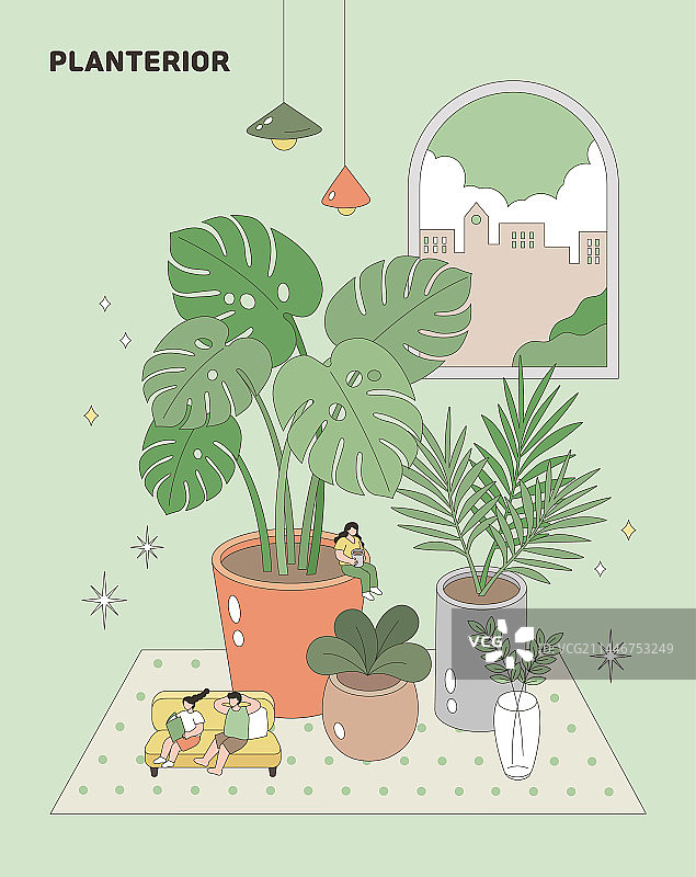 室内盆栽植物图片素材