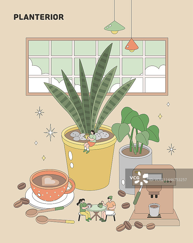 室内盆栽植物图片素材