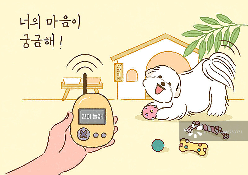 宠物狗、伴侣动物、翻译、马达加斯加长毛犬、玩耍、交流图片素材