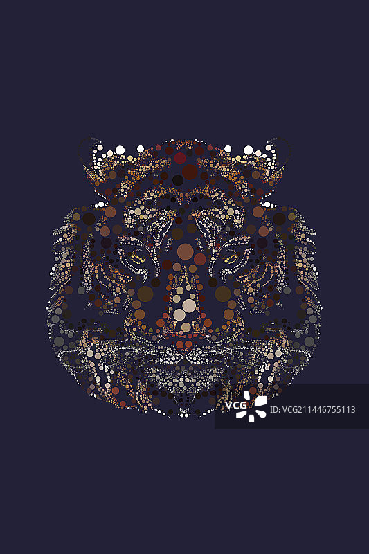 波点动物十二生肖东北虎头草间风虎虎生威保护动物图片素材