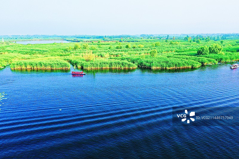 碧水蓝天芦苇荡 众鸟家园蛙歌唱 芙蓉香艳满荷塘 华北明珠耀眼靓 （雄安新区美如画）图片素材
