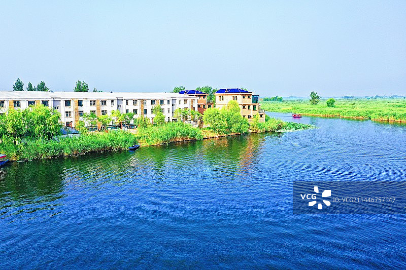 碧水蓝天芦苇荡 众鸟家园蛙歌唱 芙蓉香艳满荷塘 华北明珠耀眼靓 （雄安新区美如画）图片素材