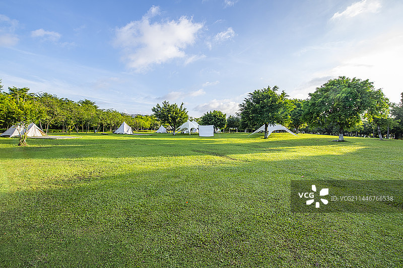 清晨公园的露营草地图片素材