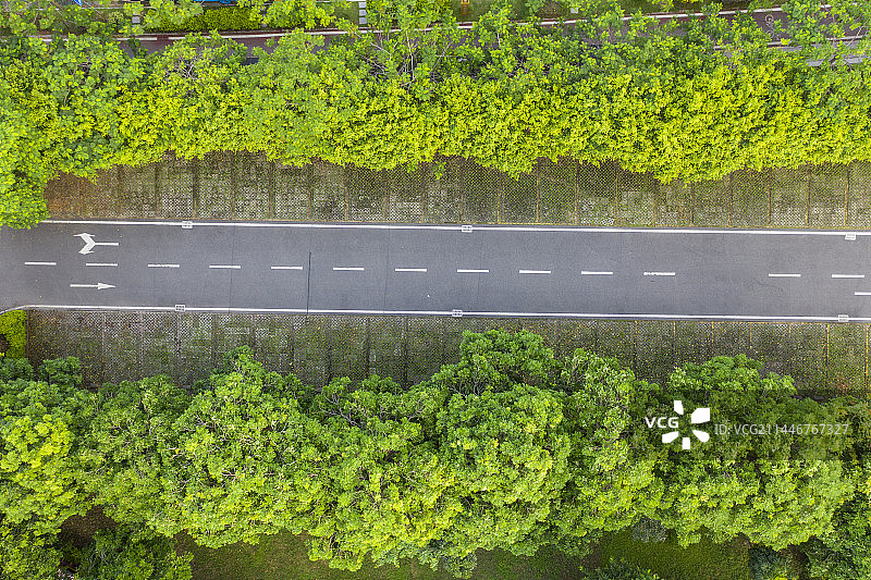 航拍公园里的公路图片素材