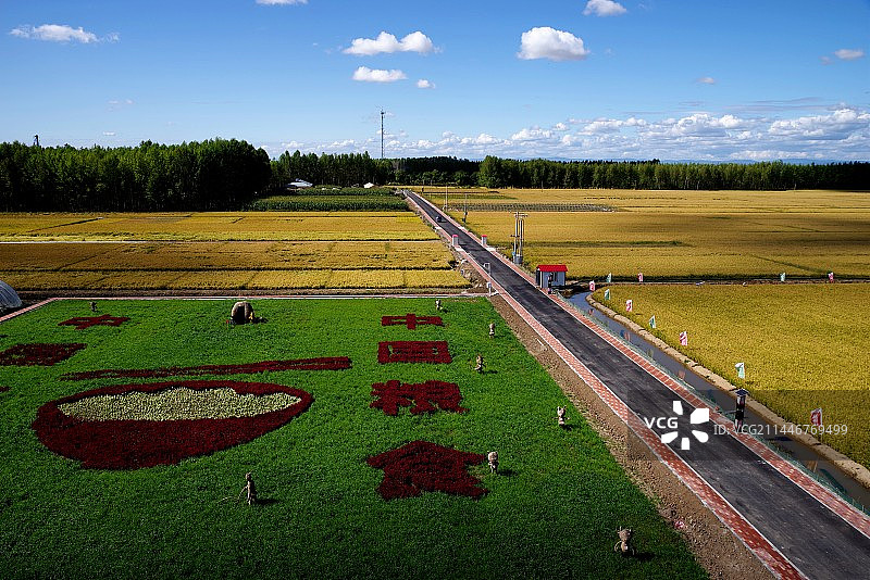 示范观光田图片素材
