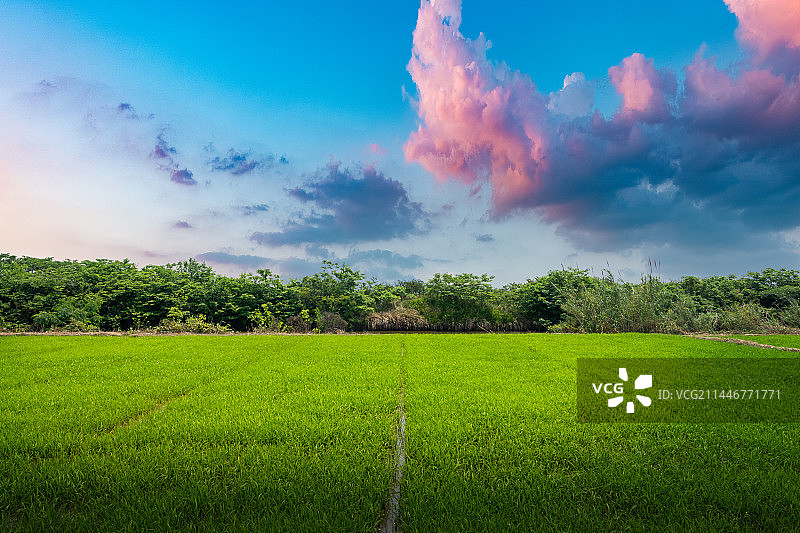 黄昏时的农村图片素材