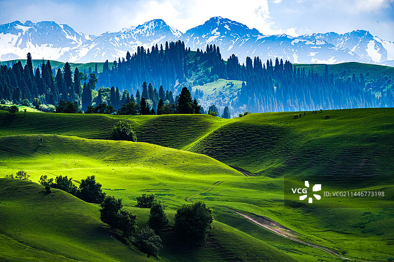 那拉提草原图片素材