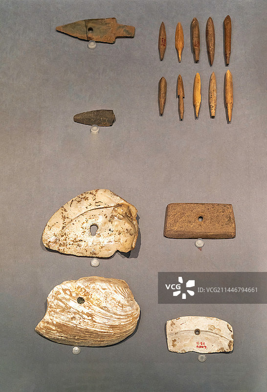 郑州商城遗址，商代生产工具，蚌铲，石刀，石镞图片素材