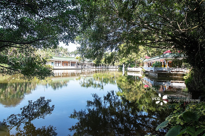厦门园林植物园风光图片素材