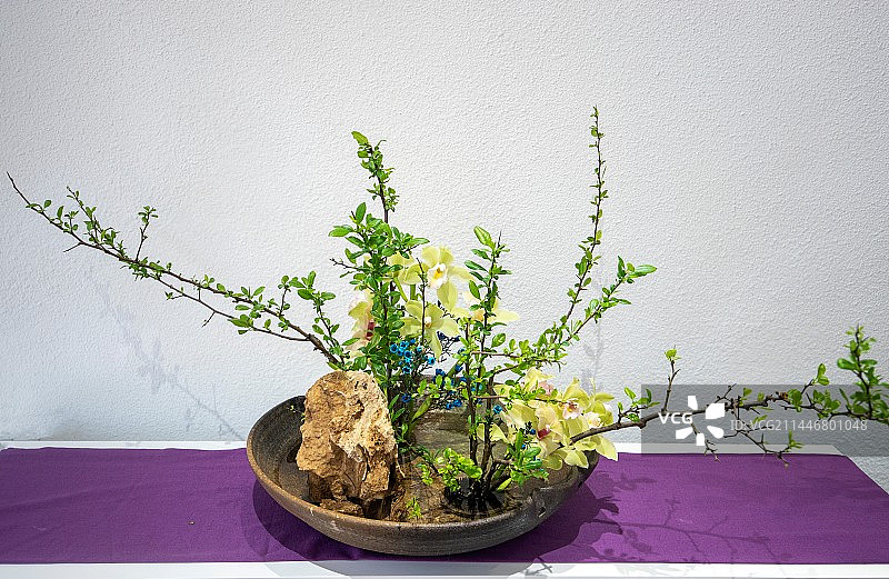 厦门园林植物园风光图片素材