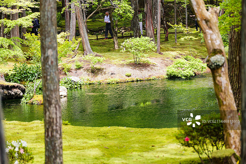 日本京都苔寺、西芳寺寺庙园林建筑风光图片素材
