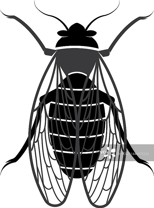 蝉Logo图标模板图片素材