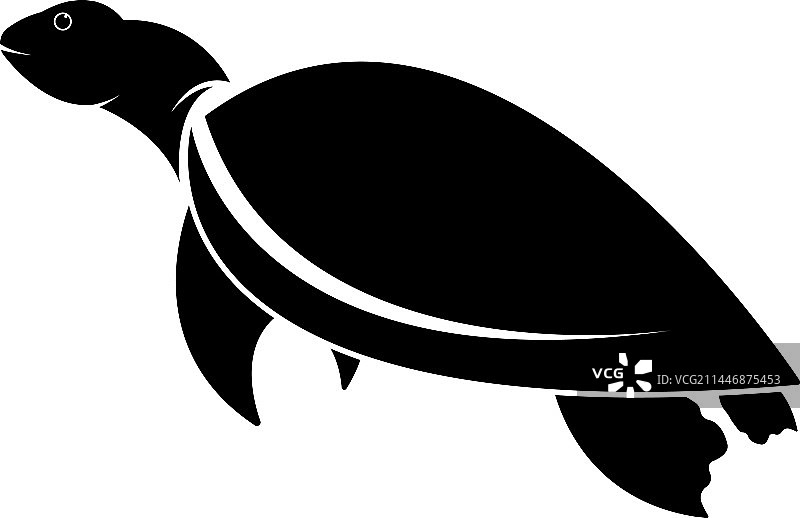 卡通乌龟动物图标图片素材