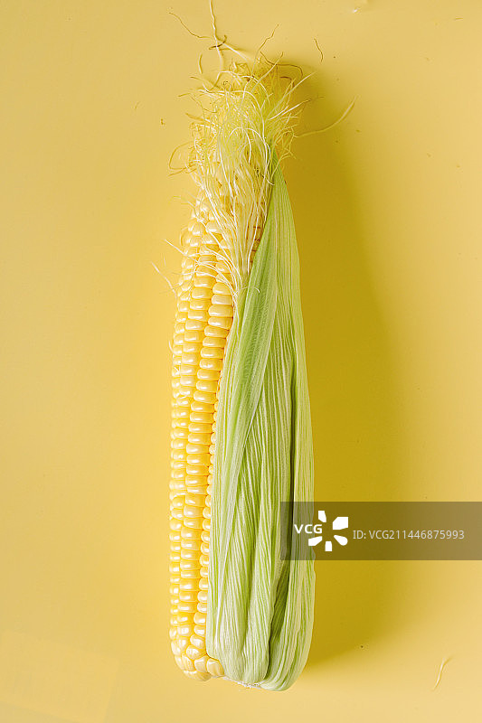 玉米图片素材
