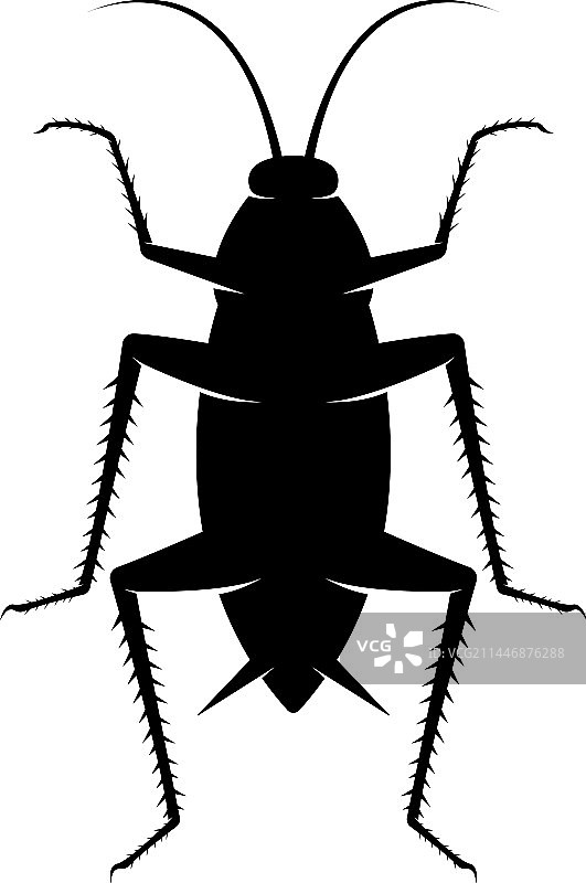 白色背景上的蟑螂标志图片素材