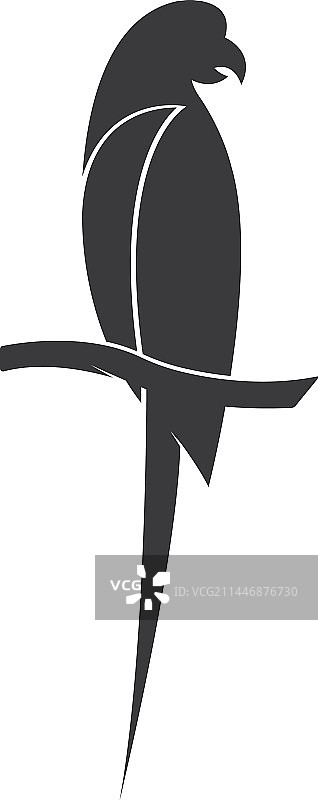 鹦鹉logo设计模板图片素材