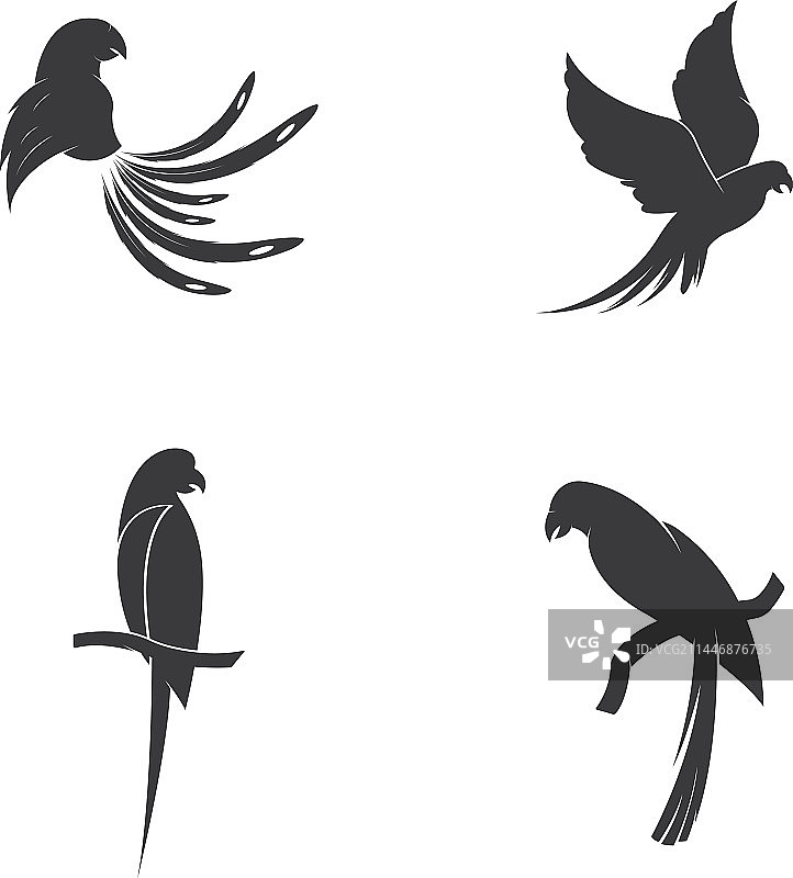 鹦鹉logo设计模板图片素材