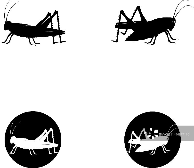 蚱蜢logo模板图标图片素材