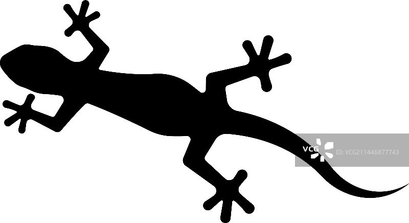 蜥蜴Logo设计模板图片素材