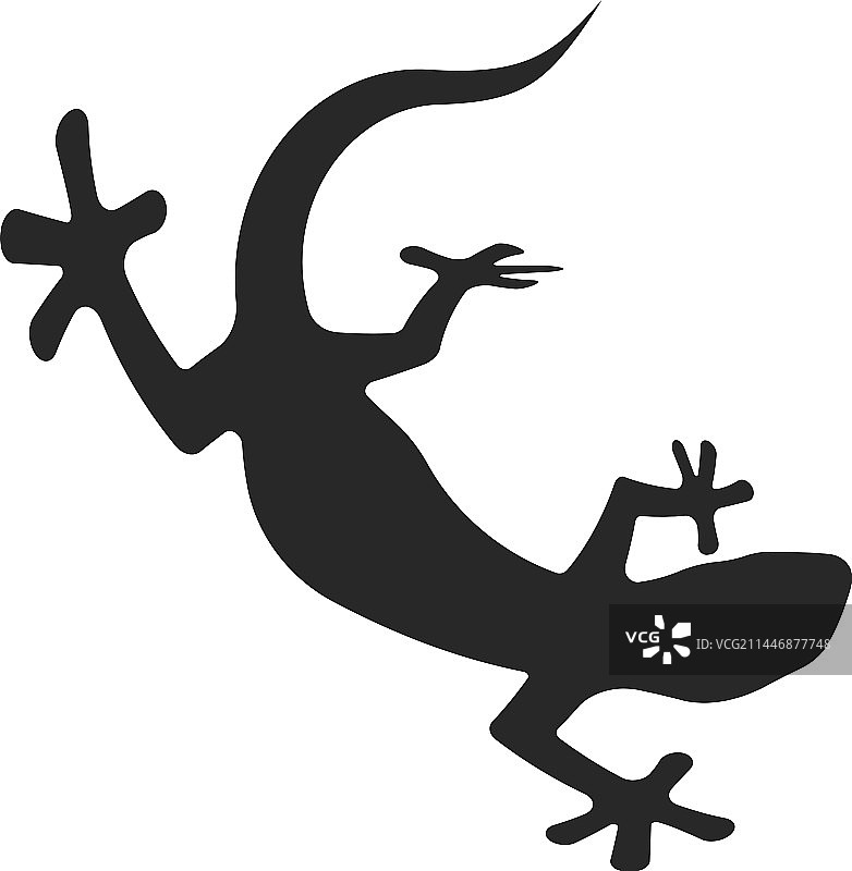 蜥蜴Logo设计模板图片素材