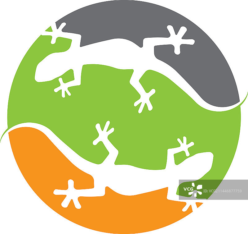 蜥蜴Logo设计模板图片素材