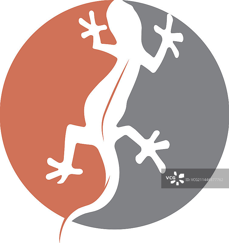 蜥蜴Logo设计模板图片素材