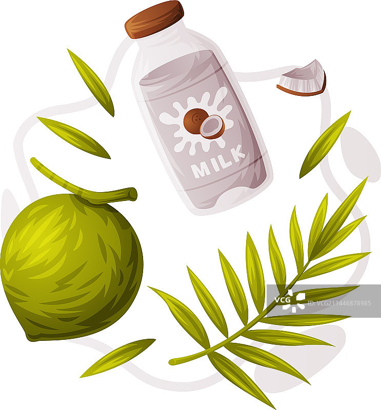 热带水果和有机食品椰子产品图片素材