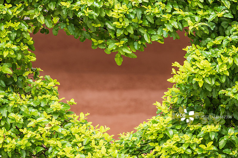 叶子围成的爱心图片素材