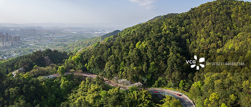 重庆歌乐山森林公园图片素材