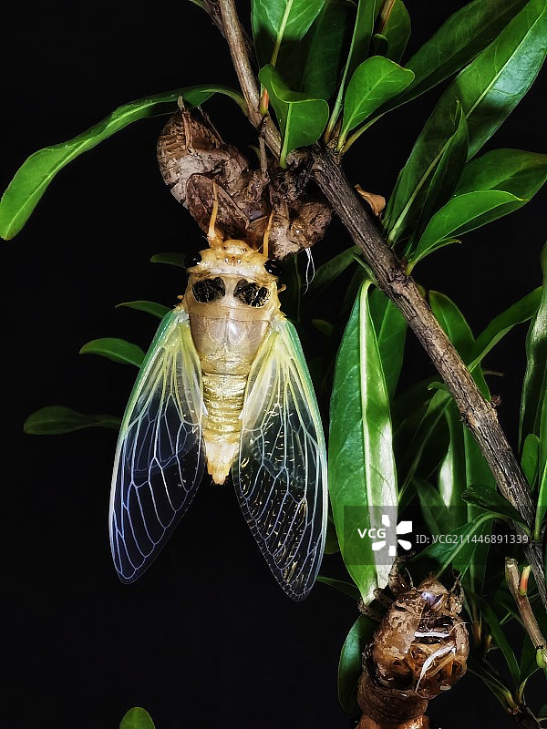 破壳而出图片素材