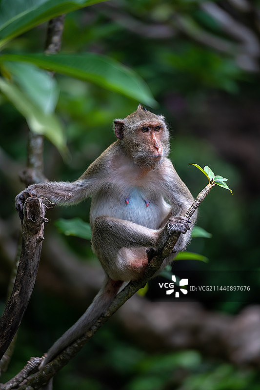 泰国旅行图片素材