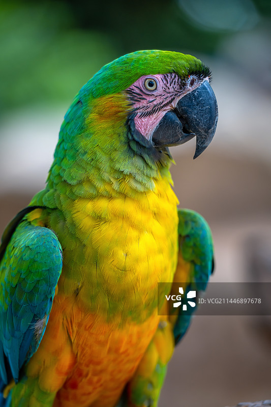 泰国旅行图片素材