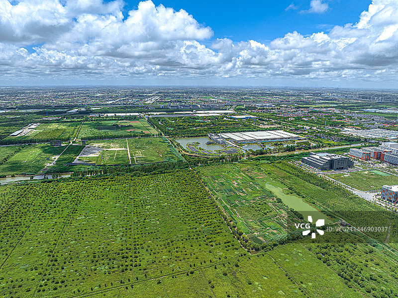 上海鲜花港 临港综合区 产业园 开发区 reits图片素材