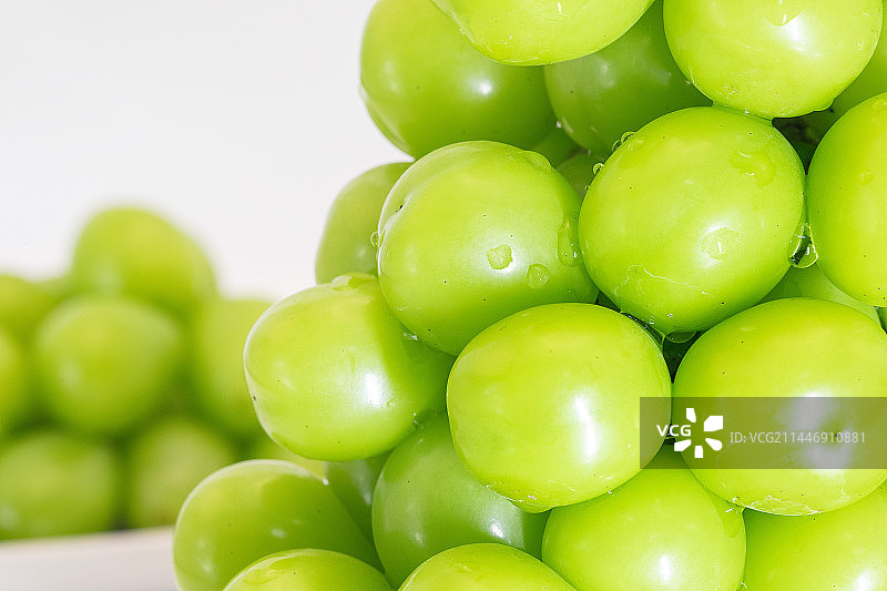 葡萄特写图片素材