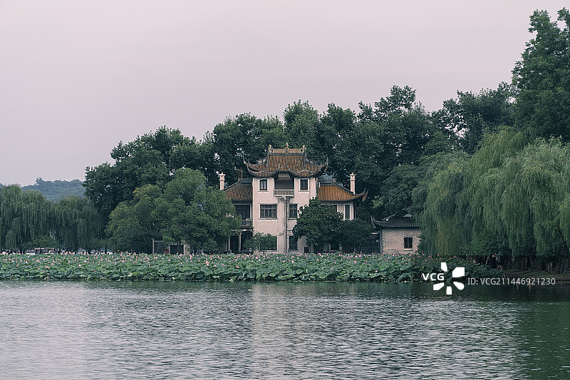 杭州西湖荷花与孤山林社图片素材