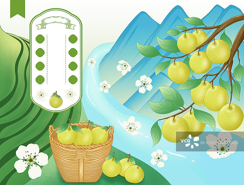 梨子包装插画图片素材