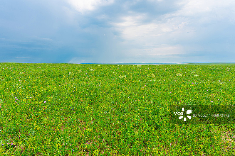 内蒙古锡林郭勒盟-乌拉盖草原风光图片素材