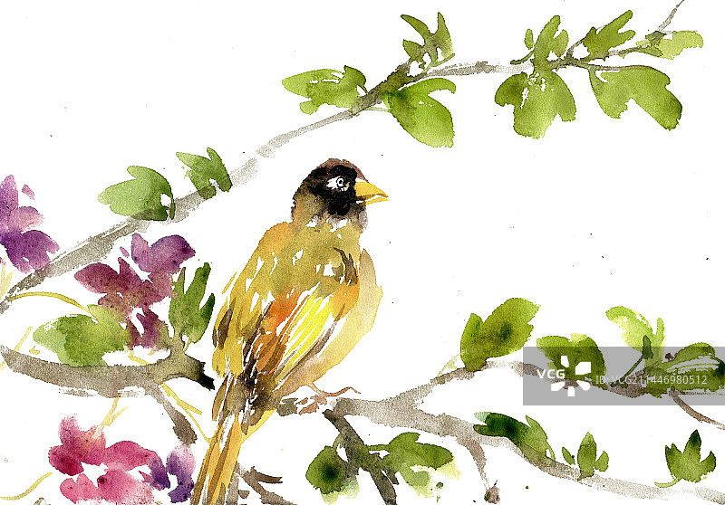 黄色的小鸟图片素材