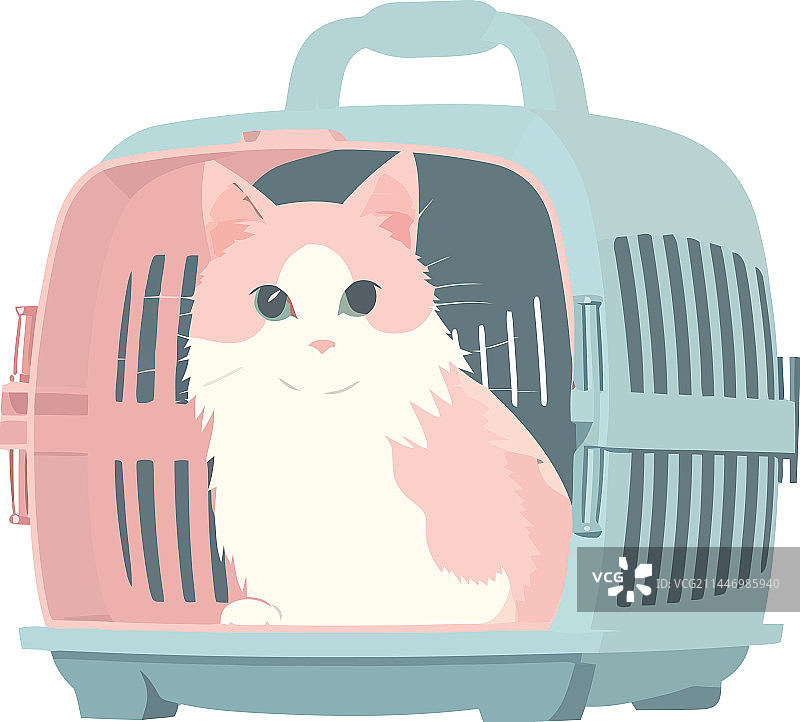 旅行箱里的小猫图片素材