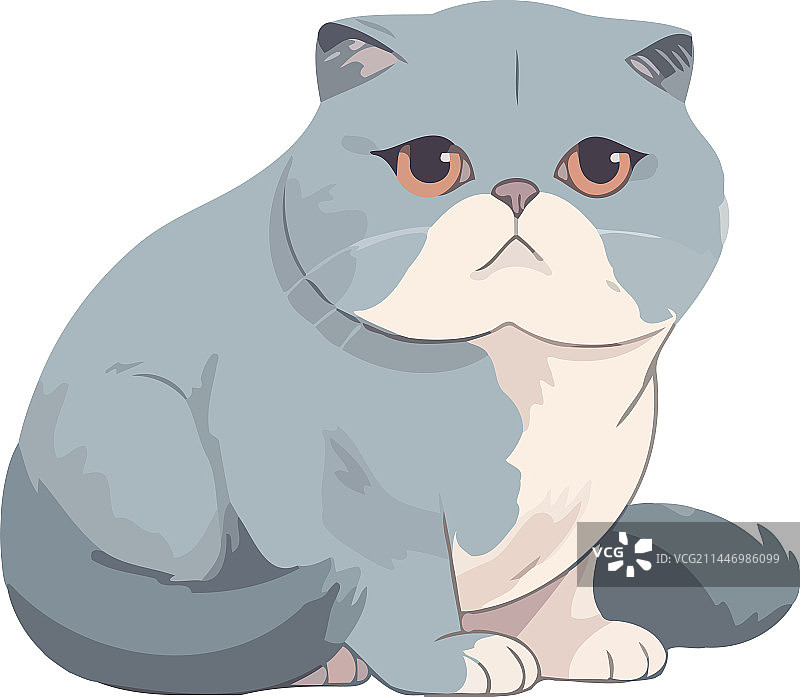 可爱毛茸茸坐姿小猫图片素材