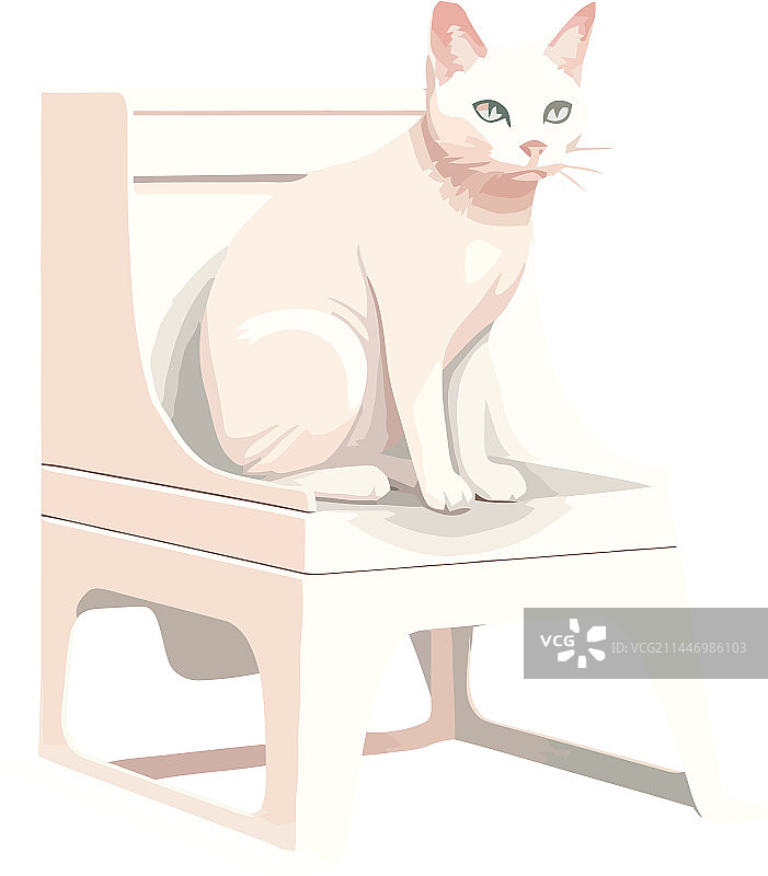 坐在椅子上的可爱小猫图片素材