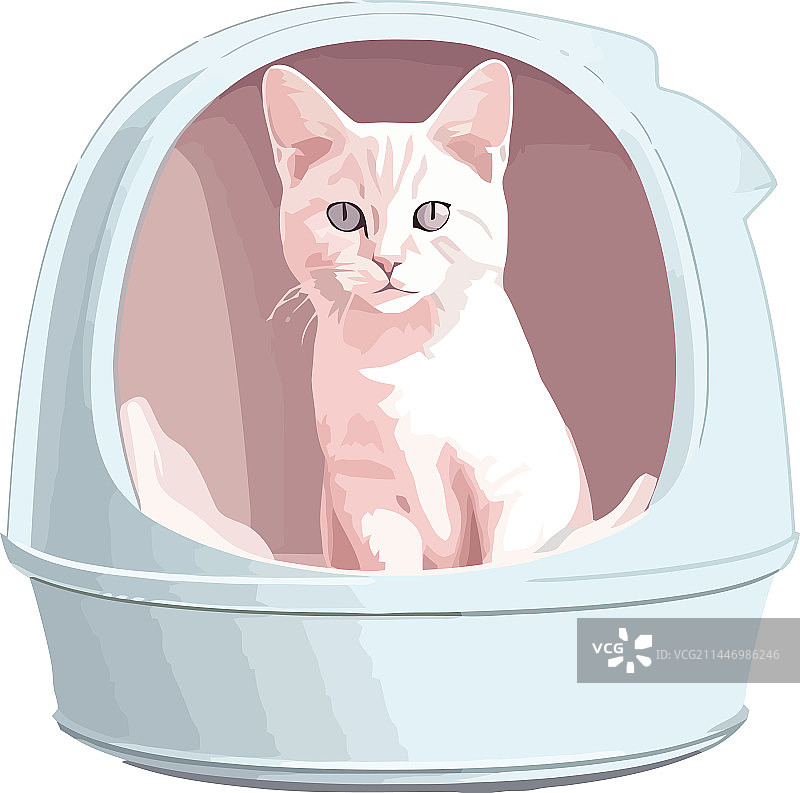 浴缸里的小猫图片素材