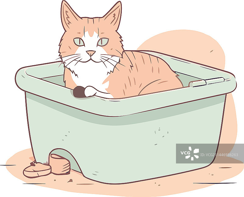坐在盒子里的可爱小猫图片素材