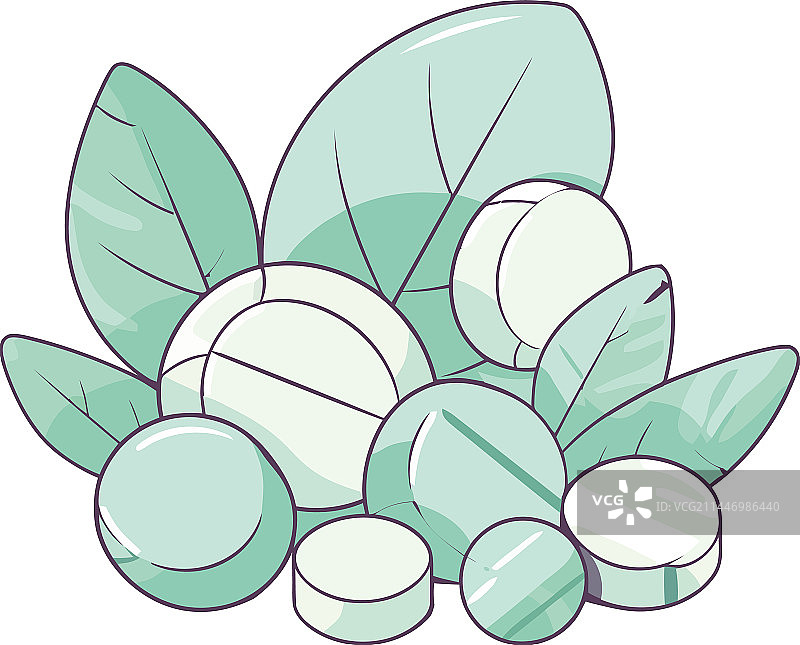 新鲜薄荷糖图片素材