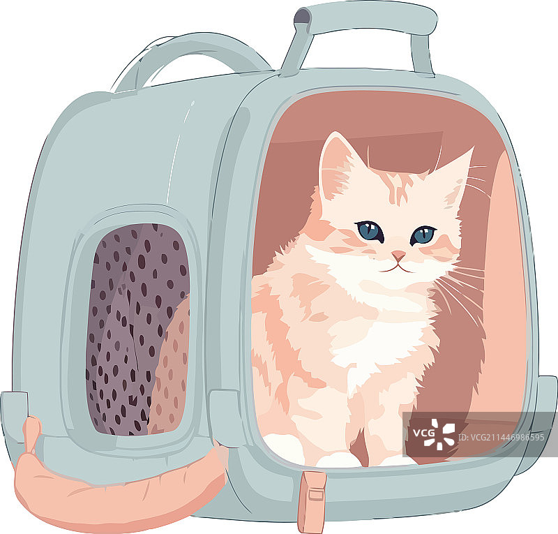 旅行箱里的小猫图片素材