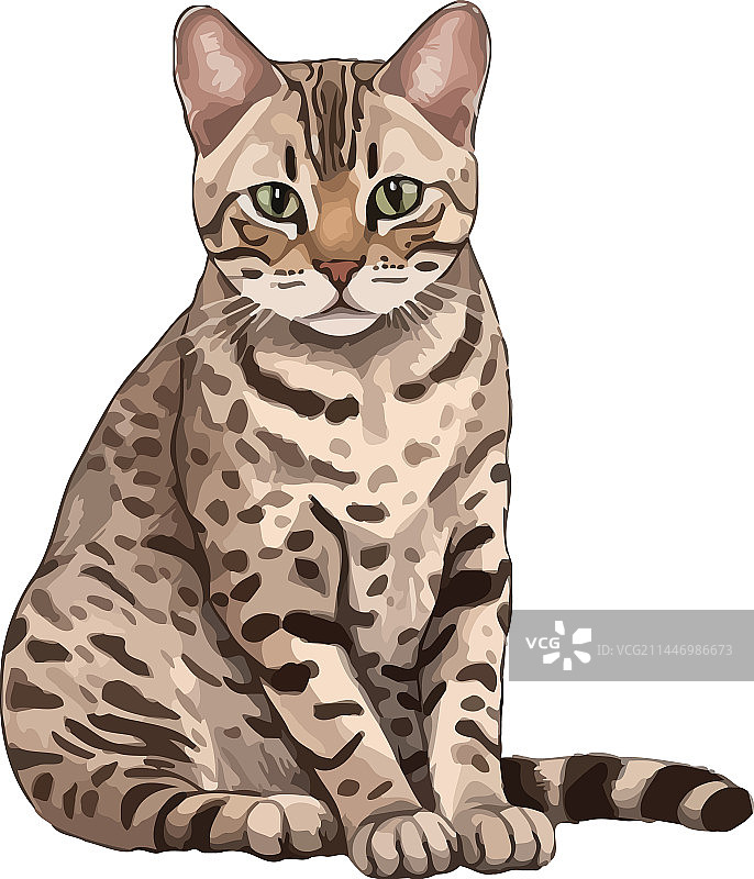 可爱小猫坐姿设计图片素材