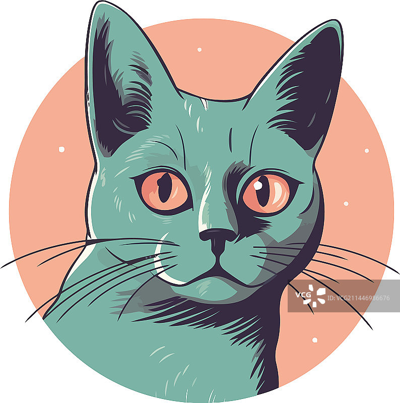 可爱的家猫图片素材