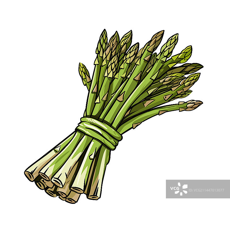 手绘涂鸦风格的芦笋图片素材