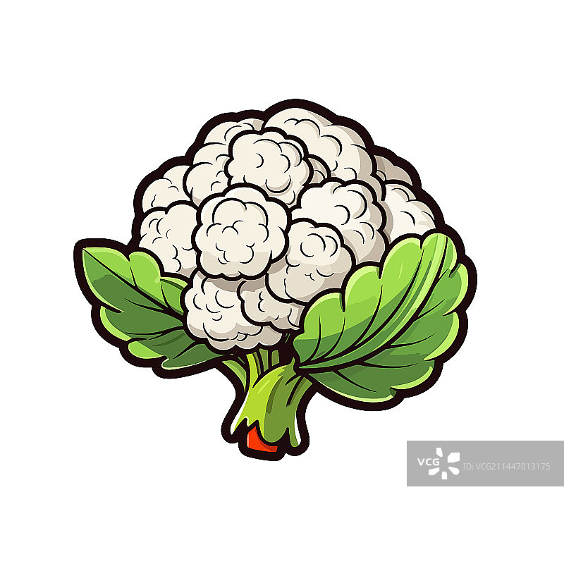 手绘涂鸦风格花椰菜图片素材